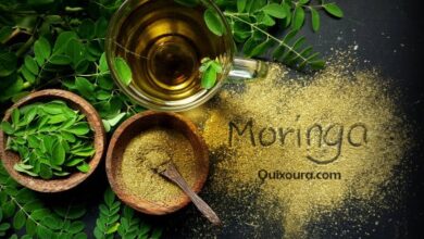 Moringa powder