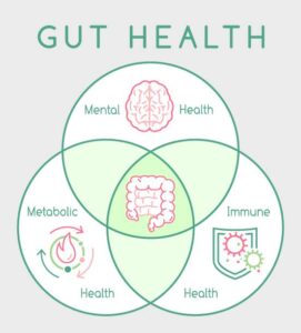 Gut Health