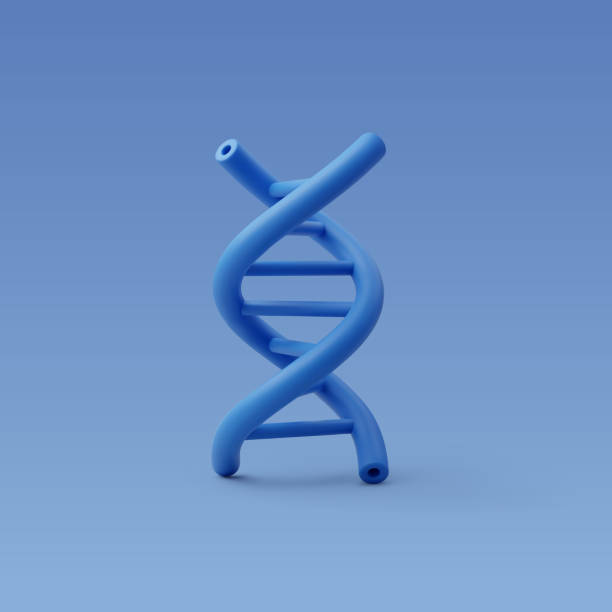 DNA